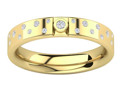 anillo  modelo DAGI