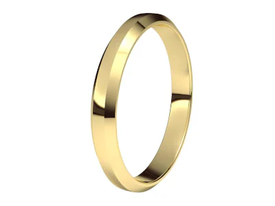 anillo  modelo manua