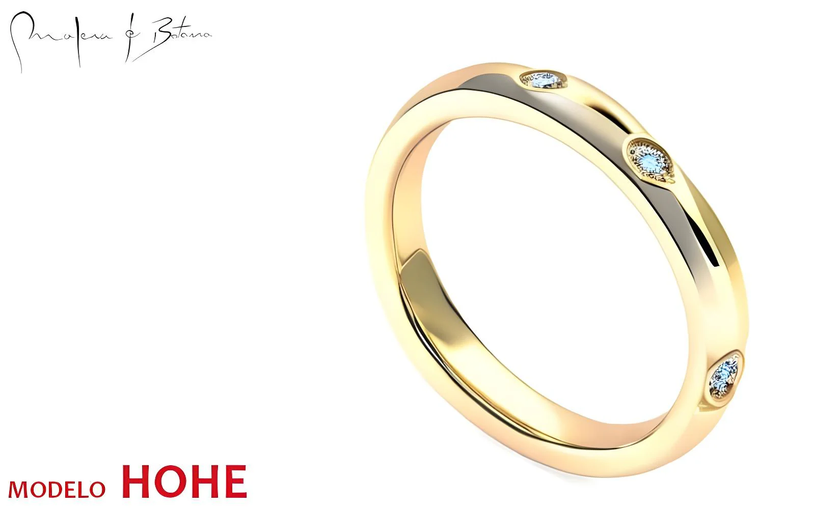 anillo  modelo HOHE
