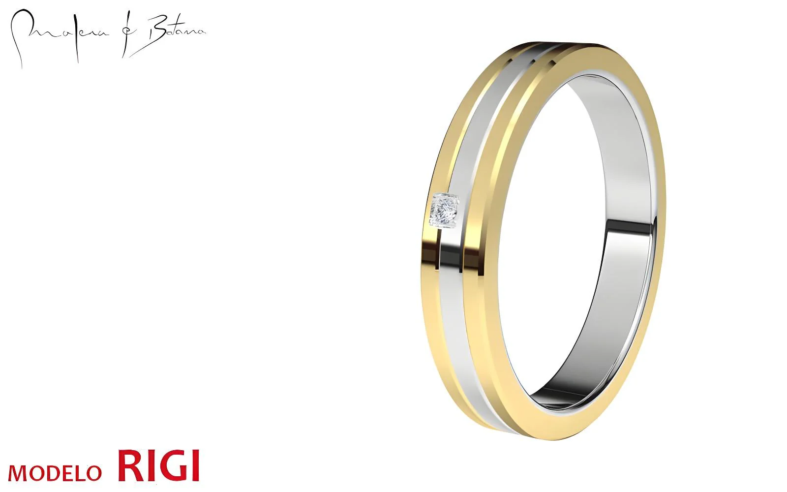 anillo  modelo RIGI