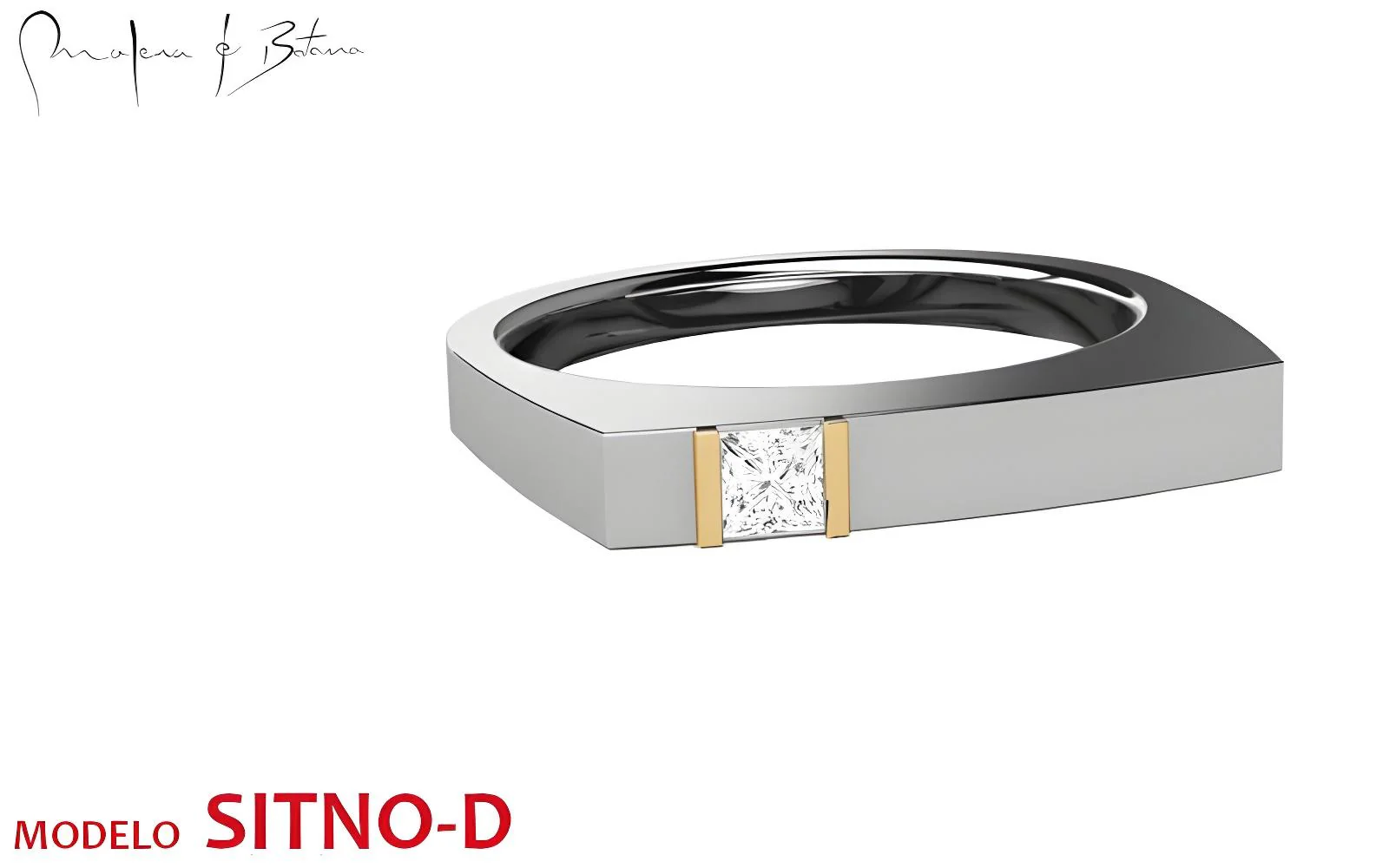 anillo  modelo SITNO-D