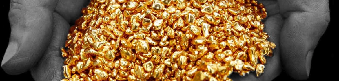 Dos manos ahuecadas sostienen una cantidad sustancial de pequeñas pepitas de oro. Las manos están desenfocadas y en escala de grises, lo que dirige la atención al oro brillante y enfocado. Las pepitas varían ligeramente en tamaño y forma, lo que indica oro natural sin refinar.