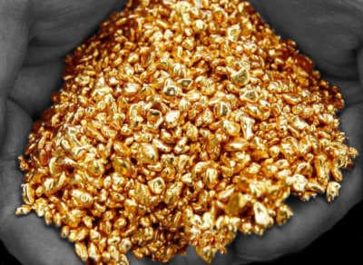 Primer plano de un puñado de pepitas de oro en bruto sostenidas en manos humanas, mostrando el color dorado brillante y la textura irregular característica del oro sin procesar