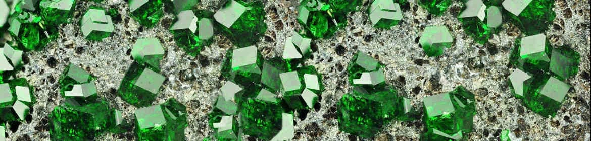 Macrofotografía de cristales de esmeralda de color verde intenso sobre una matriz rocosa. Los cristales muestran su característico hábito hexagonal y brillo vítreo. La matriz, de color gris claro o blanquecino, contrasta con el verde vibrante de las esmeraldas, realzando su belleza natural.